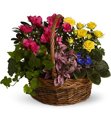 Blooming Garden Basket from In Full Bloom in Farmingdale, NY